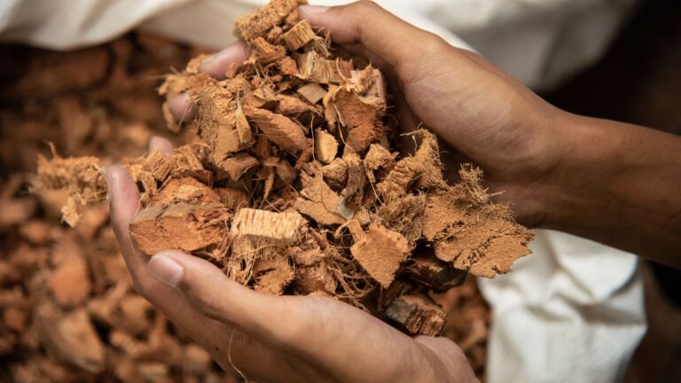 coconut husk chip sri lanka