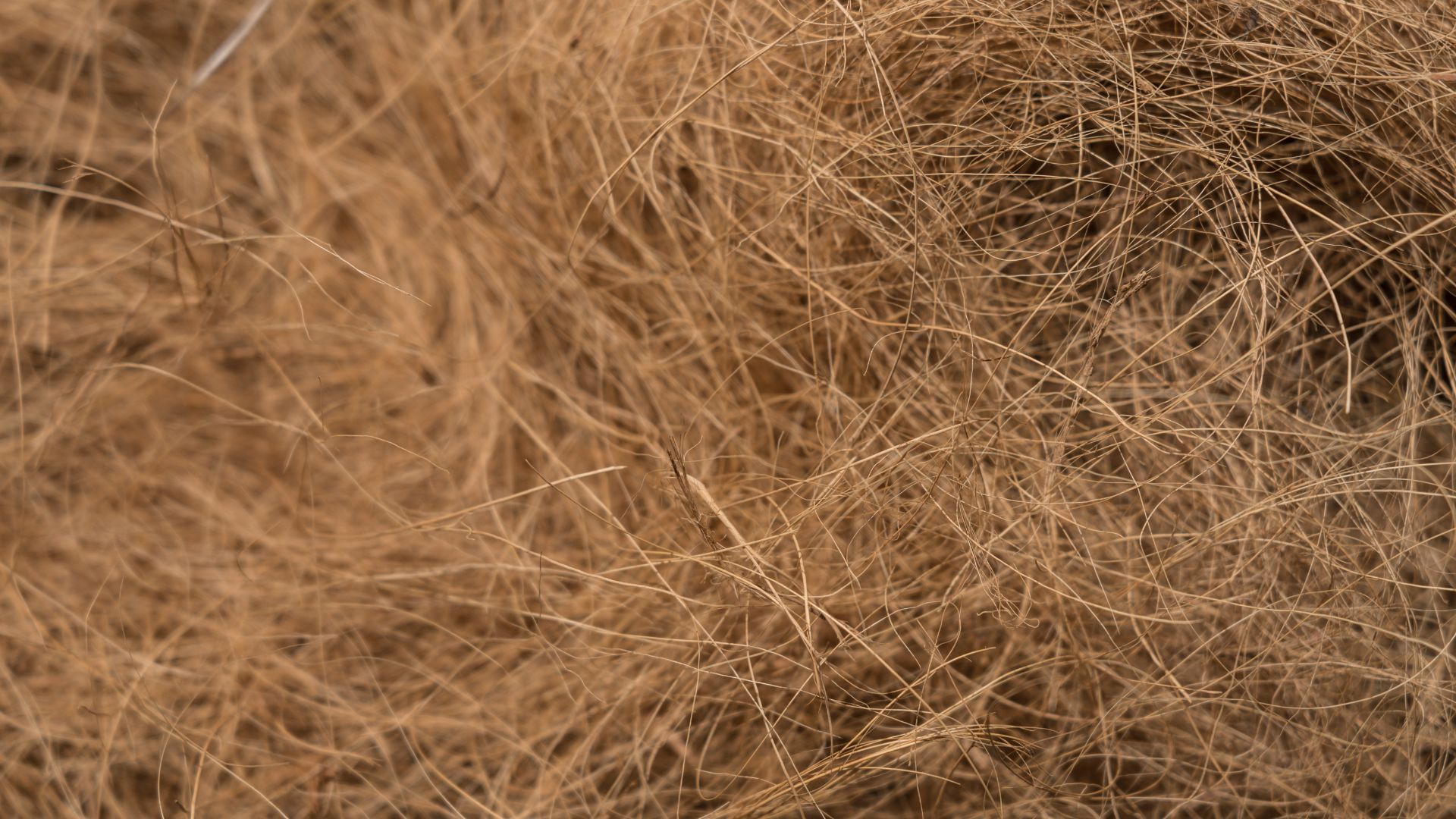 coconut fiber